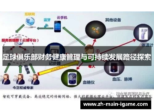足球俱乐部财务健康管理与可持续发展路径探索
