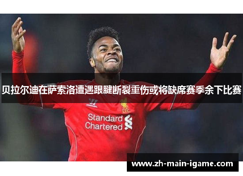 贝拉尔迪在萨索洛遭遇跟腱断裂重伤或将缺席赛季余下比赛 贝拉尔迪在萨索洛遭遇跟腱断裂重伤或将缺席赛季余下比赛
