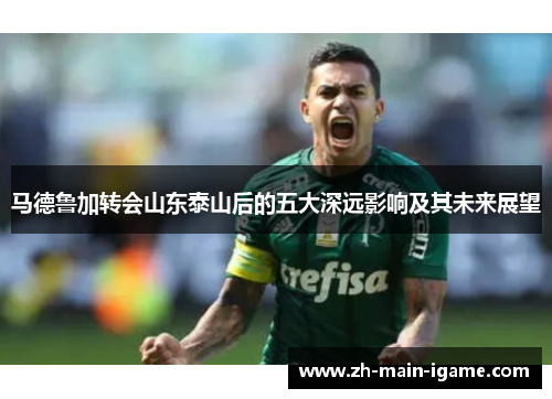 马德鲁加转会山东泰山后的五大深远影响及其未来展望