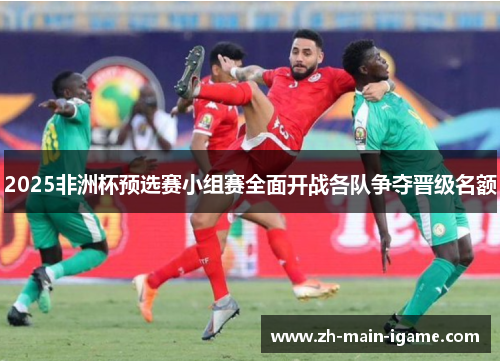 2025非洲杯预选赛小组赛全面开战各队争夺晋级名额