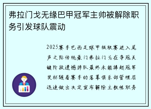 弗拉门戈无缘巴甲冠军主帅被解除职务引发球队震动